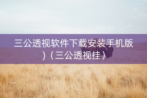 三公透视软件下载安装手机版)（三公透视挂）