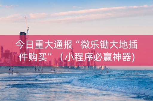 今日重大通报“微乐锄大地插件购买”（小程序必赢神器)