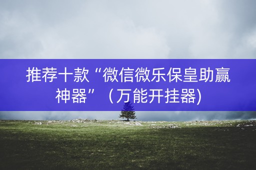 推荐十款“微信微乐保皇助赢神器”（万能开挂器)