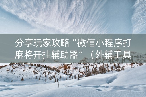 分享玩家攻略“微信小程序打麻将开挂辅助器”（外辅工具)