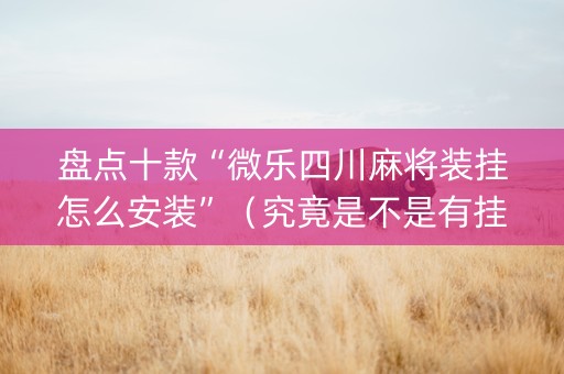 盘点十款“微乐四川麻将装挂怎么安装”（究竟是不是有挂)