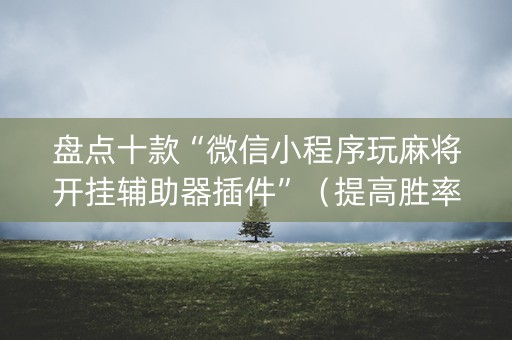 盘点十款“微信小程序玩麻将开挂辅助器插件”（提高胜率技巧)