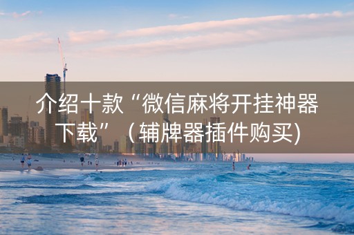 介绍十款“微信麻将开挂神器下载”（辅牌器插件购买)