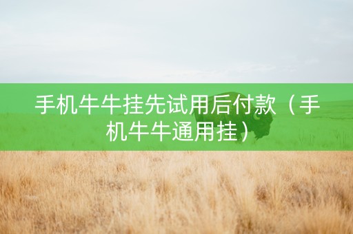 手机牛牛挂先试用后付款（手机牛牛通用挂）