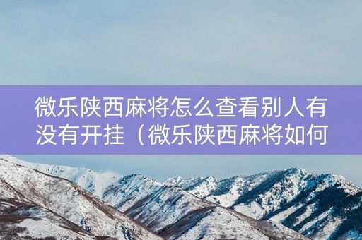 微乐陕西麻将怎么查看别人有没有开挂（微乐陕西麻将如何看回放）