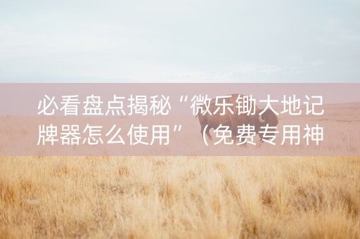 必看盘点揭秘“微乐锄大地记牌器怎么使用”（免费专用神器)