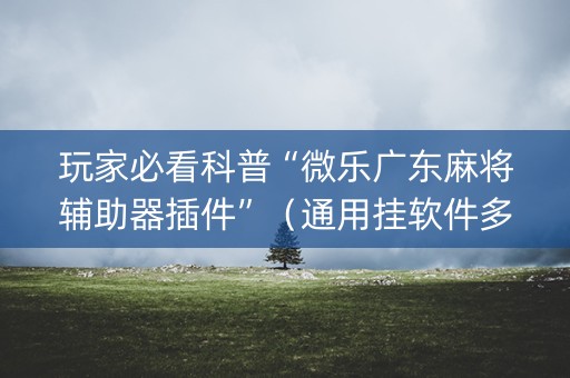 玩家必看科普“微乐广东麻将辅助器插件”（通用挂软件多少钱)