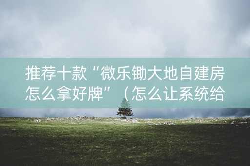 推荐十款“微乐锄大地自建房怎么拿好牌”（怎么让系统给你发好牌)