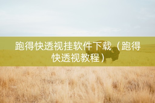 跑得快透视挂软件下载（跑得快透视教程）
