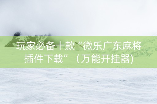 玩家必备十款“微乐广东麻将插件下载”（万能开挂器)