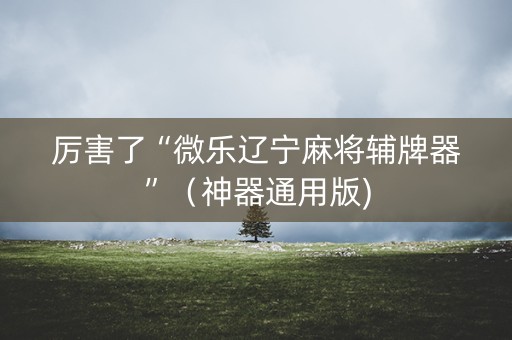 厉害了“微乐辽宁麻将辅牌器”（神器通用版)