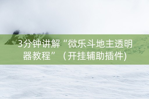 3分钟讲解“微乐斗地主透明器教程”（开挂辅助插件)