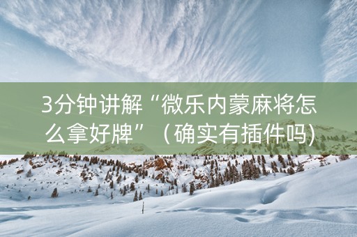 3分钟讲解“微乐内蒙麻将怎么拿好牌”（确实有插件吗)