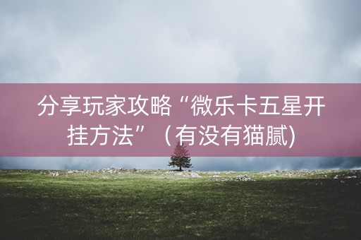 分享玩家攻略“微乐卡五星开挂方法”（有没有猫腻)
