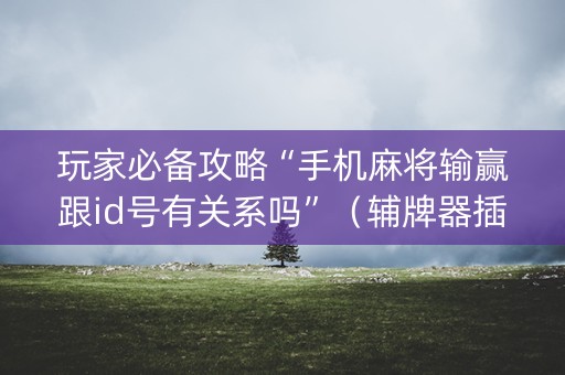 玩家必备攻略“手机麻将输赢跟id号有关系吗”（辅牌器插件购买)