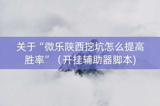 关于“微乐陕西挖坑怎么提高胜率”（开挂辅助器脚本)