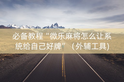 必备教程“微乐麻将怎么让系统给自己好牌”（外辅工具)