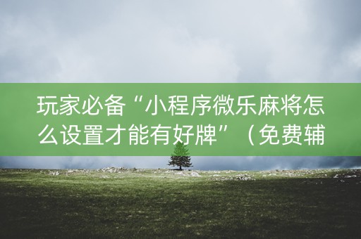 玩家必备“小程序微乐麻将怎么设置才能有好牌”（免费辅助)