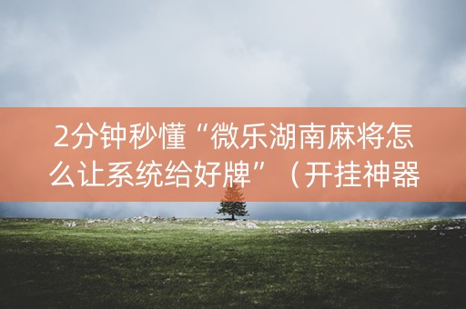2分钟秒懂“微乐湖南麻将怎么让系统给好牌”（开挂神器下载)
