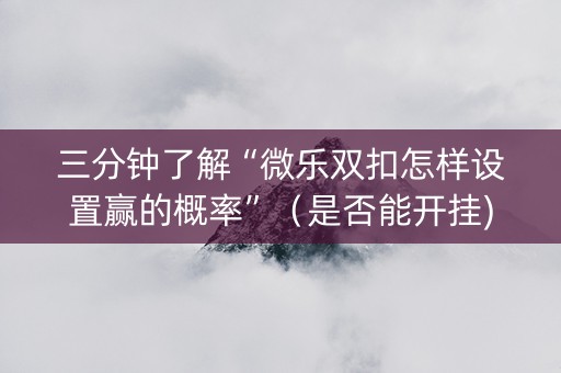 三分钟了解“微乐双扣怎样设置赢的概率”（是否能开挂)