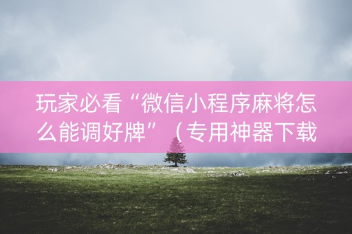 玩家必看“微信小程序麻将怎么能调好牌”（专用神器下载)