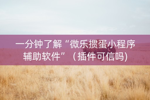 一分钟了解“微乐掼蛋小程序辅助软件”（插件可信吗)
