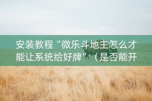 安装教程“微乐斗地主怎么才能让系统给好牌”（是否能开挂)