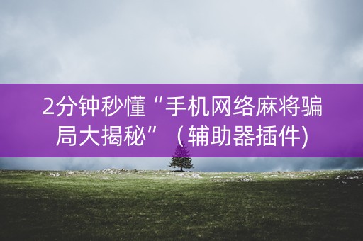 2分钟秒懂“手机网络麻将骗局大揭秘”（辅助器插件)