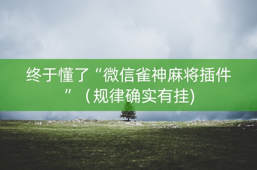 终于懂了“微信雀神麻将插件”（规律确实有挂)