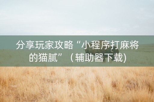 分享玩家攻略“小程序打麻将的猫腻”（辅助器下载)