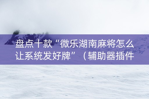 盘点十款“微乐湖南麻将怎么让系统发好牌”（辅助器插件)