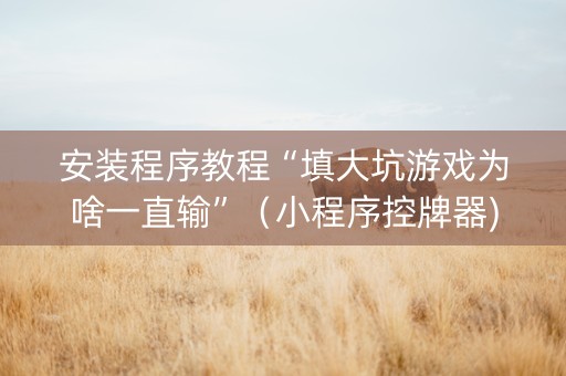 安装程序教程“填大坑游戏为啥一直输”（小程序控牌器)