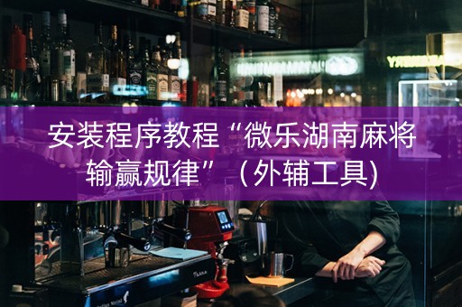 安装程序教程“微乐湖南麻将输赢规律”（外辅工具)