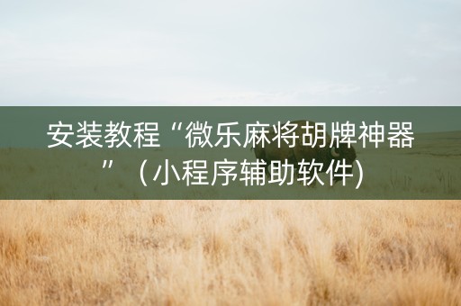 安装教程“微乐麻将胡牌神器”（小程序辅助软件)