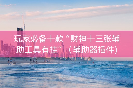 玩家必备十款“财神十三张辅助工具有挂”（辅助器插件)