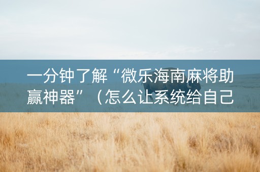 一分钟了解“微乐海南麻将助赢神器”（怎么让系统给自己好牌)