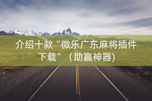 介绍十款“微乐广东麻将插件下载”（助赢神器)