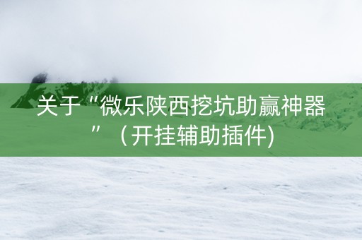关于“微乐陕西挖坑助赢神器”（开挂辅助插件)