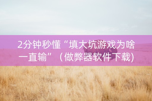 2分钟秒懂“填大坑游戏为啥一直输”（做弊器软件下载)
