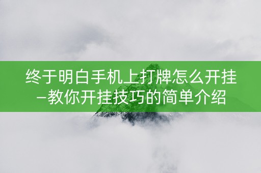 终于明白手机上打牌怎么开挂—教你开挂技巧的简单介绍