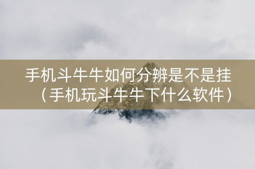 手机斗牛牛如何分辨是不是挂（手机玩斗牛牛下什么软件）