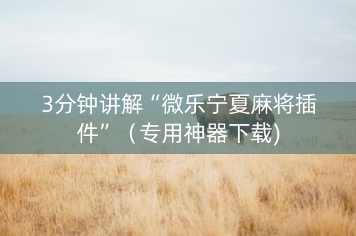 3分钟讲解“微乐宁夏麻将插件”（专用神器下载)