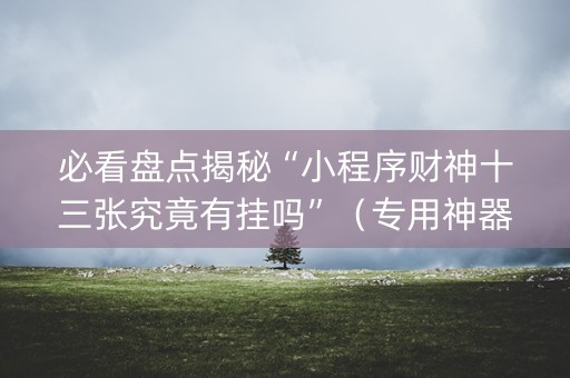 必看盘点揭秘“小程序财神十三张究竟有挂吗”（专用神器)
