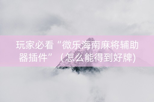 玩家必看“微乐海南麻将辅助器插件”（怎么能得到好牌)
