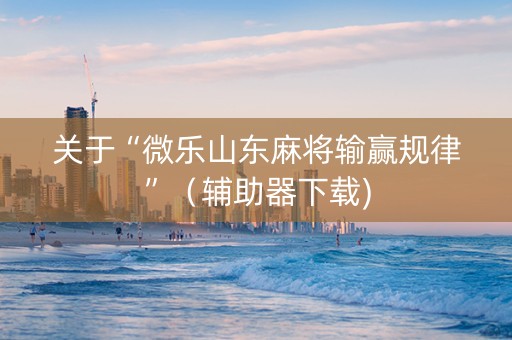 关于“微乐山东麻将输赢规律”（辅助器下载)