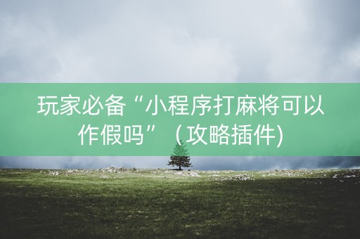 玩家必备“小程序打麻将可以作假吗”（攻略插件)