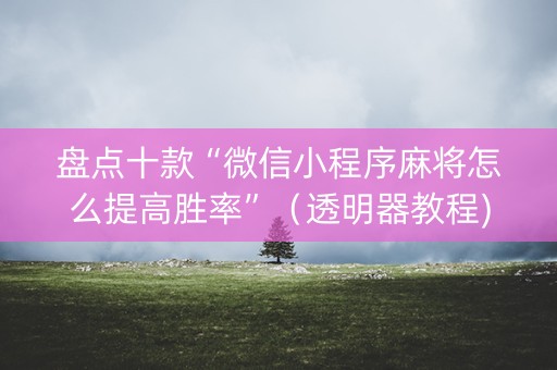 盘点十款“微信小程序麻将怎么提高胜率”（透明器教程)