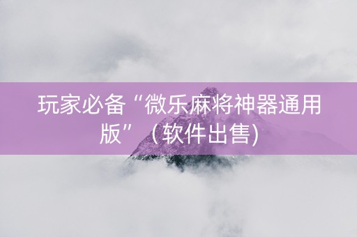 玩家必备“微乐麻将神器通用版”（软件出售)
