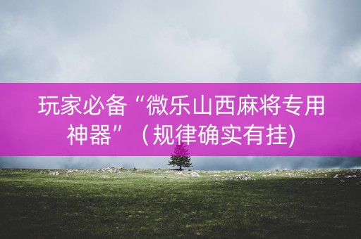 玩家必备“微乐山西麻将专用神器”（规律确实有挂)