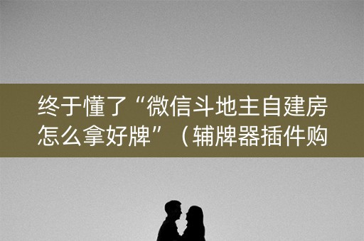 终于懂了“微信斗地主自建房怎么拿好牌”（辅牌器插件购买)